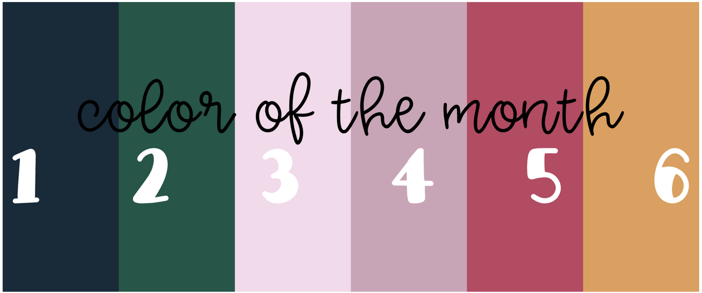 Solid Color Best Seller Icons | 2025 | Quarter 1