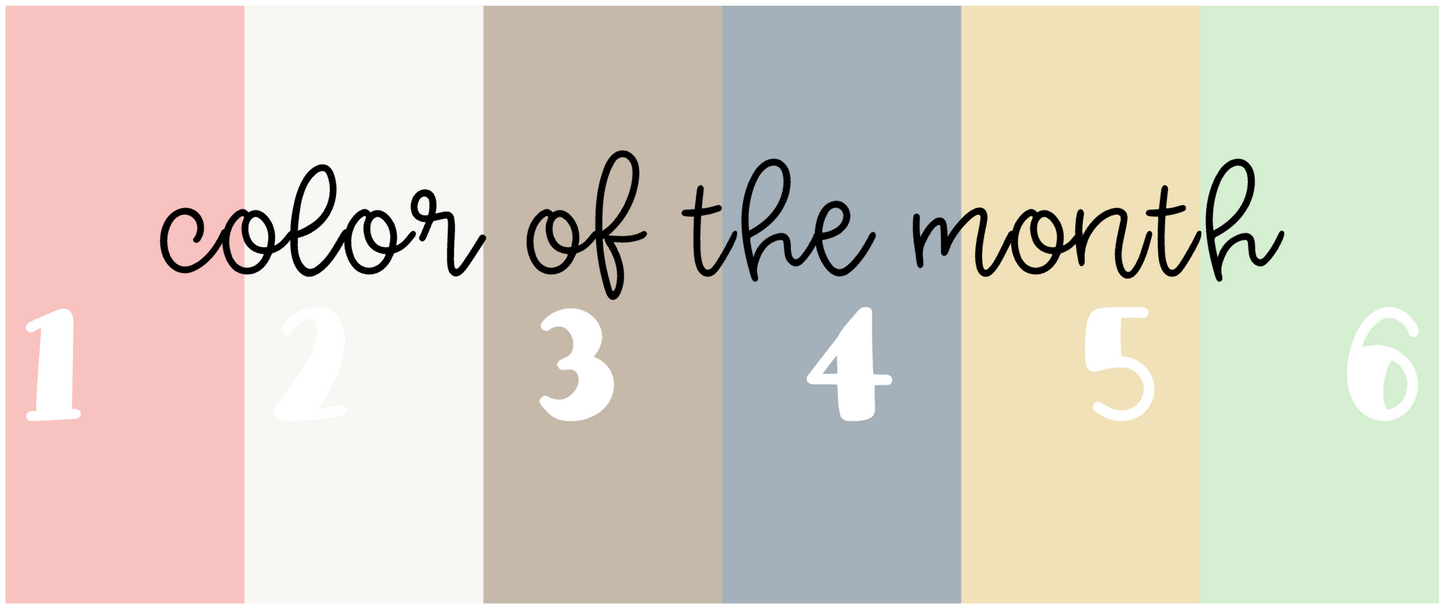 Solid Color Mini Best Seller Icons | 2025 | Quarter 1