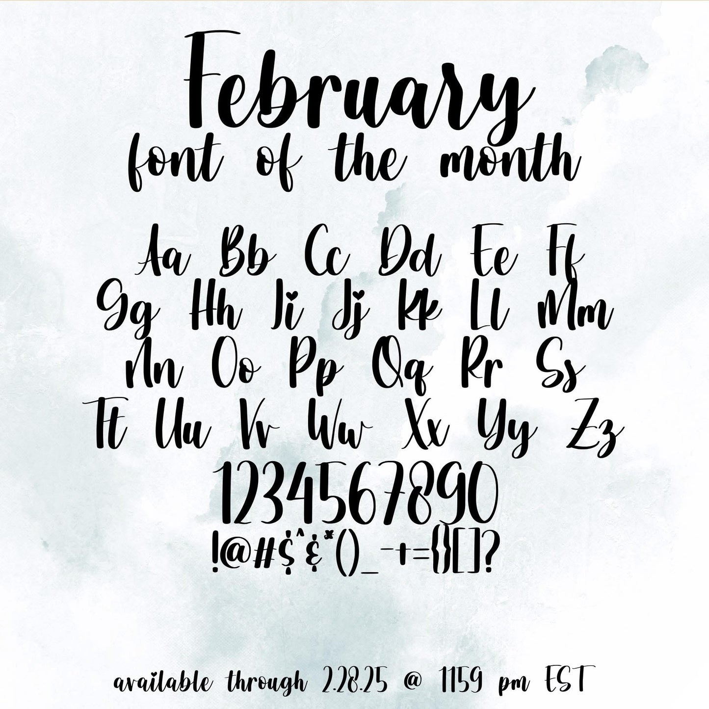 February Font of the Month - 28 Variety Custom Scripts *PLEASE READ DESCRIPTION*